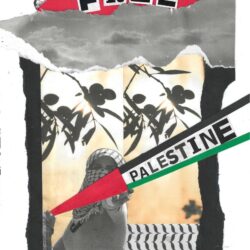 Free Palestina